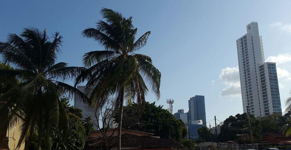 Mediterranean Dreams San Francisco Panama Stadt Exterior foto